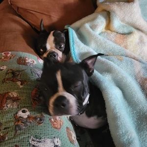 Meet your Posher, Vickie